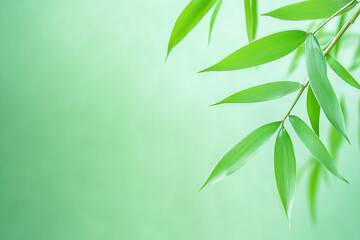 Wall Mural - lush green bamboo leaves against a soft pastel background in a tranquil natural setting