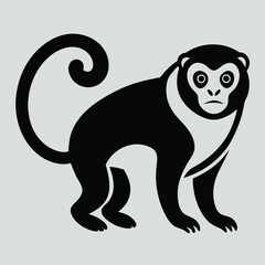 Wall Mural - Solid color Pied Tamarin animal vector design