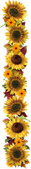 Wall Mural - sunflower decorative composition