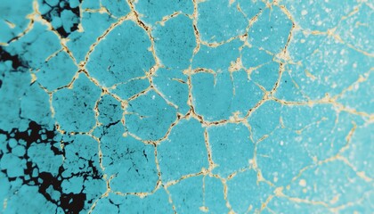 Wall Mural - Grunge icy winter texture with cracked patterns for creative backgrounds