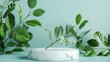 © Ashfaq - White marble podium with green leaves on blue background