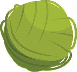 Poster - Bright green cabbage is sitting plump and round, showing off its healthy leaves ready for being picked and cooked