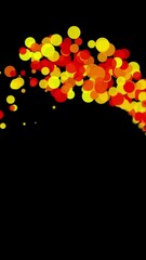 Poster - Gold glittering spiral trail of colorful circles moving in a circle on black background, seamless loop. Animation. Twisted magic comet tail.