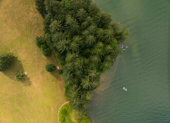 A forest with a lake in the background