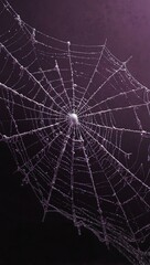 Purple spider web illustration