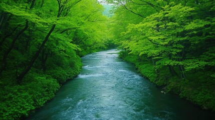 Poster - A serene river meanders through a lush green forest, with sunlight filtering through the canopy of trees.