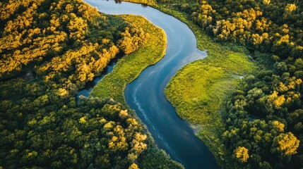 Poster - An aerial view of a winding river flowing through a lush green forest.