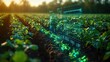 © Nova Widiawati - A field of young plants with a futuristic holographic interface displaying data.