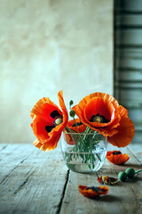 Poster - Bright Orange Poppies Arranged in a Glass Vase on a Rustic Wooden Table in a Warmly Lit Room