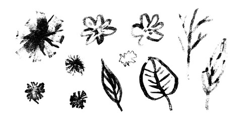 Set of grunge black ink hand drawn simple sketch textured tree leaves, herbs and flowers. Abstract brush stroke drawing texture botanical elements for pattern design, greeting card, logo print