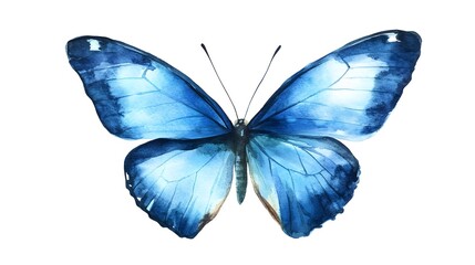 Wall Mural - Watercolor Blue Butterfly
