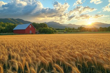 Wall Mural - A red barn stands in a field of golden wheat at sunset.  The sun shines through the clouds, casting a warm glow over the landscape.