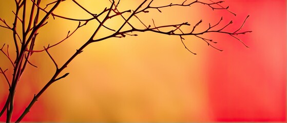 Wall Mural - Silhouette of a Branch Against a Warm Sunset