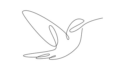 hummingbird continuous line illustration