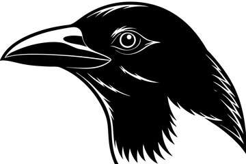 Wall Mural - magpie head  silhouette  vector illustration