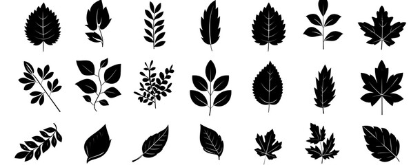 Wall Mural - set of silhouettes of leaves on white