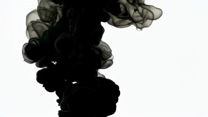 Poster - Abstract black ink swirling and dissolving in water, creating an artistic and dynamic pattern