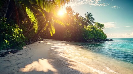 Wall Mural - Tranquil beach scene with palm trees and clear turquoise water at sunset.