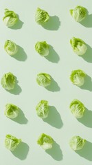 Poster - Fresh Green Lettuce Pattern on Light Green Background - Bright and Vibrant Daylight Scene with Soft Shadows