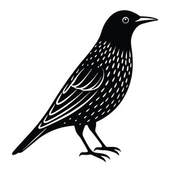 Wall Mural - European starling icon - Transparent Background Clipart