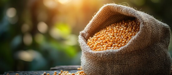 Canvas Print - A burlap sack filled with yellow grains sits on a wooden surface against a blurred green background.