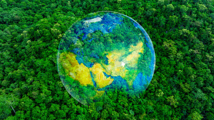 atmospheric aerial view of the green forest with the earth demonstrate the concept of preserving the