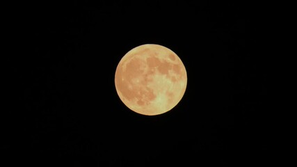 Wall Mural - Yellow Full moon on clear sky at night time and the silhouette of a flying plane
