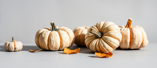 Canvas Print - White Pumpkins and Autumn Leaves on Gray Background