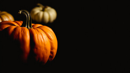 Poster - Single Pumpkin on Black Background