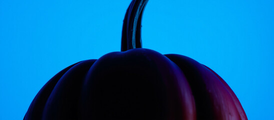 Canvas Print - A Silhouetted Pumpkin Against a Bright Blue Background