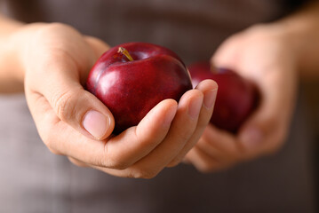 Poster - Red plum fruit holding by woman hand, Healthy eating