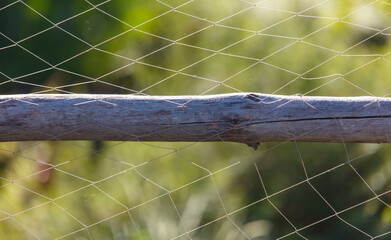Wall Mural - Woven net against the backdrop of nature in summer