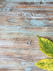 Autumn leaves on old wooden background. Top view with copy space.