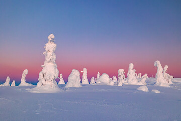 Wall Mural - landscape with snow