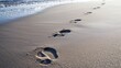 © kimly - footprints in the wet sand of a deserted shore, creating a sense of solitude and peace.