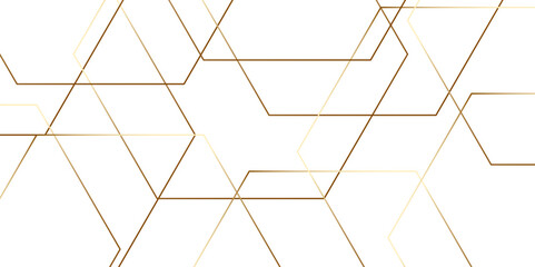 Poster - Modern minimal and clean white gold background with realistic line wave geometric circle shape, abstract white and gold colors with lines pattern texture computer geometric digital connection design .