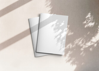 Wall Mural - two isolated magazine covers mockup on white background with soft shadows. 3d rendering