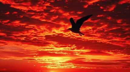 Wall Mural - Silhouette of Bird Flying Against Red Sky