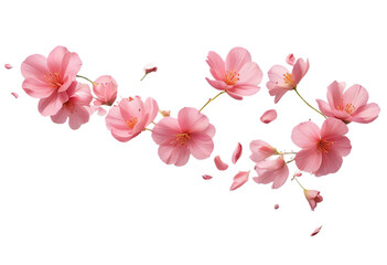 flying pink petals isolated on white, transparent background cutout