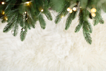 Christmas white background with fir border and decoration