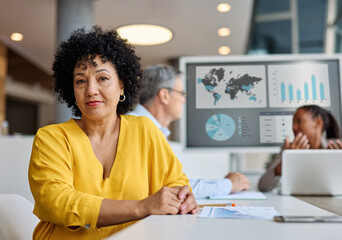 Wall Mural - business meeting businesswoman woman young office portrait colleague group teamwork seminar businessperson startup creative training friendly black