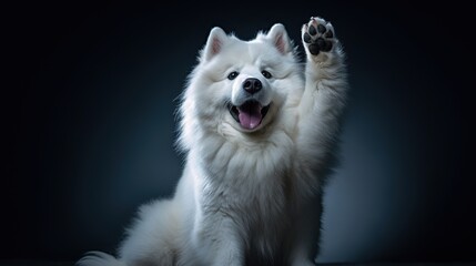 Poster - A White Dog Raising Its Paw with a Happy Expression