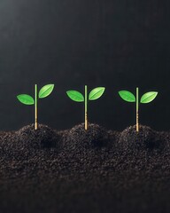 Seedlings growing in dark soil, isolated on black background