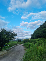 Canvas Print - It is a country road in Jeolla-do, Korea.