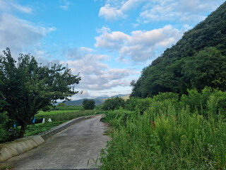 Canvas Print - It is a country road in Jeolla-do, Korea.