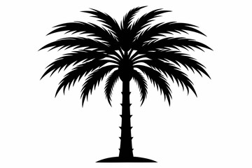 Poster - Tropical palm tree vector silhouettes