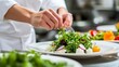 © Faxri - Before serving a dish to restaurant patrons, the chef adds the final touches to a salad made with fresh greens.