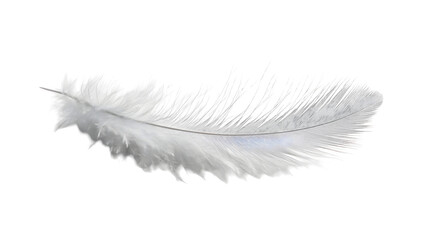 Poster - Closeup of a soft,white feather floating in a simple,minimalist natural studio backdrop. The feather appears ethereal,serene and calming against the clean,airy background.