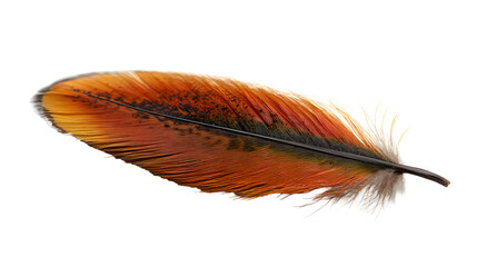 Poster - Closeup of a vibrant orange and brown feather with a gradient color pattern and intricate textural details. This natural and earthy feather can be used for elegant and sophisticated designs.