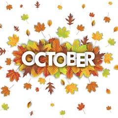 Wall Mural - autumn foliage explosion october white cover